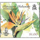 Strelitzia Reginae - Polynesia / Pitcairn Islands 2018