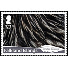 Striated Caracara (Phalcoboenus australis) - South America / Falkland Islands 2019 - 32