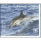 Striped Dolphin (Stenella coeruleoalba) - Polynesia / Tonga 2020 - 11.80