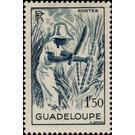 Sugar cane - Caribbean / Guadeloupe 1947 - 1.50