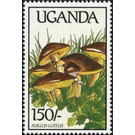 Suillus luteus - East Africa / Uganda 1989 - 150