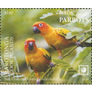 Sun Conure (Aratinga solstitialis) - Cook Islands, Rarotonga 2020 - 3