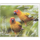 Sun Conure (Aratinga solstitialis) - Cook Islands, Rarotonga 2020 - 3