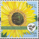 Sunflower - Moldova 2019 - 1.75