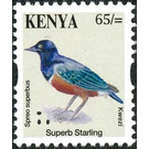 Superb Starling (Lamprotornis superbus) - East Africa / Kenya 2014 - 65