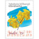 Tabebuia bibracteolata - Caribbean / Bonaire 2020 - 75