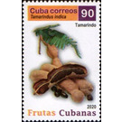 Tamarind - Caribbean / Cuba 2020