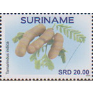 Tamarind (Tamarindus indica) - South America / Suriname 2020 - 20