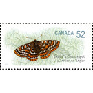Taylor's Checkerspot (Euphydryas editha taylori) - Canada 2008 - 52