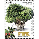 Terebinth Tree in Apesia, 1500 years old - Cyprus 2019 - 0.64
