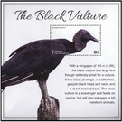 The Black Vulture - Caribbean / Saint Vincent and The Grenadines 2020