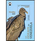 The Black Vulture (Coragyps atratus) - West Africa / Niger 2021