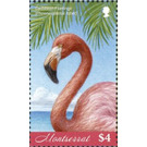 The caribbean flamingo - Caribbean / Montserrat 2019