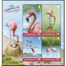 The caribbean flamingo - Caribbean / Montserrat 2019