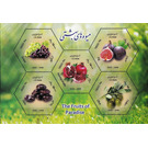 The Fruits of Paradise - Iran 2020
