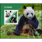 The Giant Panda (Ailuropoda melanoleuca) - West Africa / Guinea 2021