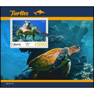 The Green Sea Turtle (Chylonia mydas) - West Africa / Liberia 2021