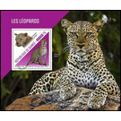 The Leopard (Panthera pardus) - West Africa / Guinea 2021