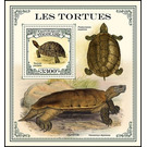 The Leopard Tortoise (Testudo pardalis) - West Africa / Togo 2021