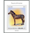 The Mountain Zebra (Equus zebra) - East Africa / Mozambique 2021