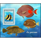 The Pennant Coralfish (Heniochus acuminatus) - East Africa / Djibouti 2021