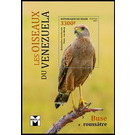 The Savanna Hawk (Buteogallus meridionalis) - West Africa / Niger 2021