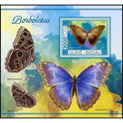 The Theseus Morpho (Morpho theseus) - West Africa / Guinea-Bissau 2021