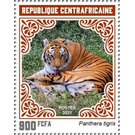 Tiger (Panthera tigris) - Central Africa / Central African Republic 2021 - 900