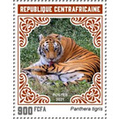 Tiger (Panthera tigris) - Central Africa / Central African Republic 2021 - 900