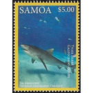 Tiger Shark (Galeocerdo cuvier) - Polynesia / Samoa 2016 - 5