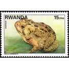 Toad (Bufo sp.) - East Africa / Rwanda 1995 - 15