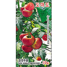 Tomatoes - North Korea 2020 - 10