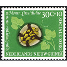 Tortoise Beetle (Aspidimorpha aurata) - Melanesia / Netherlands New Guinea 1961