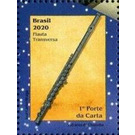 Transverse Flute - Brazil 2020