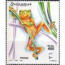 Tree Frog (Hyla sp.) - East Africa / Somalia 2002 - 400