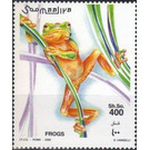Tree Frog (Hyla sp.) - East Africa / Somalia 2002 - 400