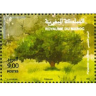 Tree - Morocco 2020 - 9