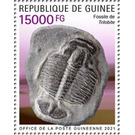 Trilobite - West Africa / Guinea 2021