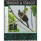 Trinidad Piping-guan (Pipile pipile) - Caribbean / Trinidad and Tobago 2019 - 2