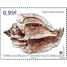Trophonella scotiana - French Australian and Antarctic Territories 2019 - 0.95