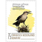 Tropical Mockingbird (Mimus gilvus) - Caribbean / Bonaire 2020 - 75