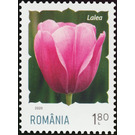 Tulip - Romania 2020 - 1.80