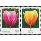 Tulip - Romania 2020 - 1.80