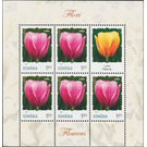 Tulip - Romania 2020