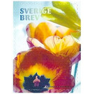 Tulips - Sweden 2019