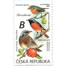 Turdidae - Czech Republic (Czechia) 2020