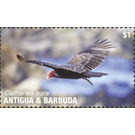 Turkey Vulture - Caribbean / Antigua and Barbuda 2020 - 1