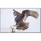 Turkey Vulture - Caribbean / Antigua and Barbuda 2020 - 1