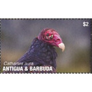 Turkey Vulture - Caribbean / Antigua and Barbuda 2020 - 2