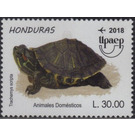 Turtle - Central America / Honduras 2018 - 30